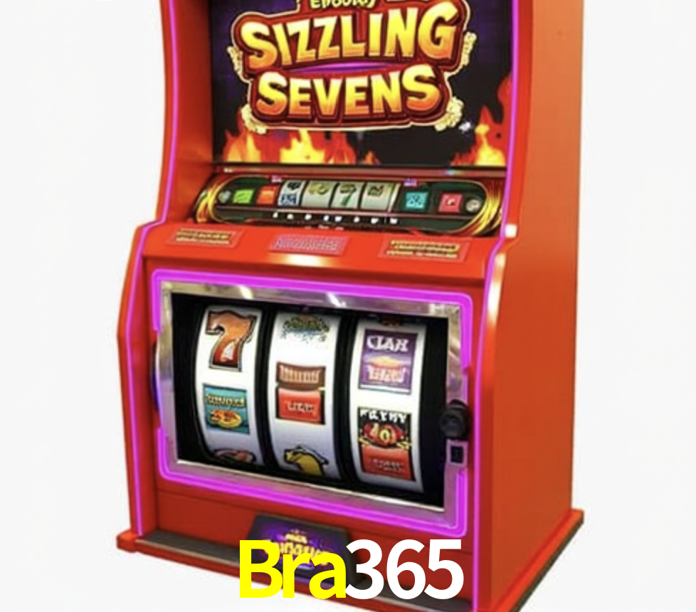 Security Systems Bra365